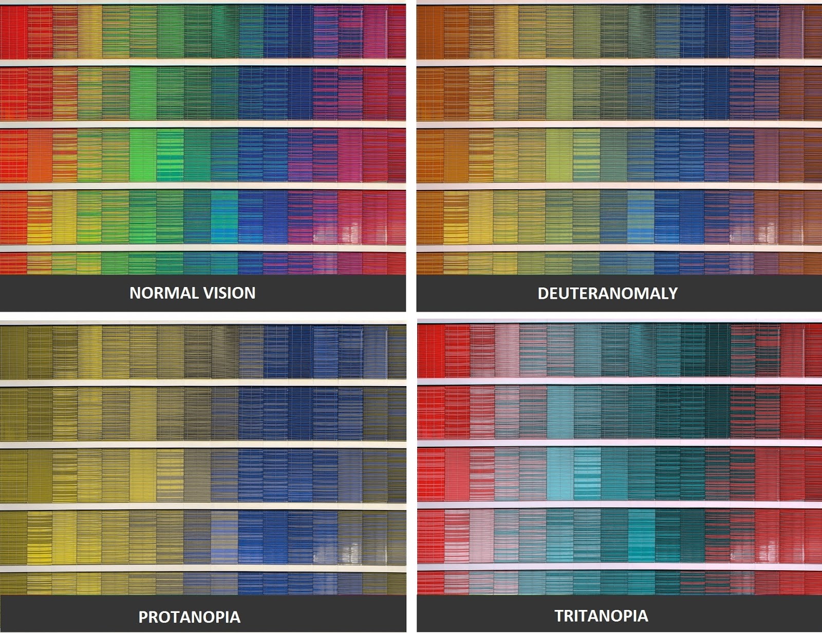 Types of Colorblindness